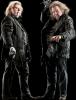 Peter Pettigrew 